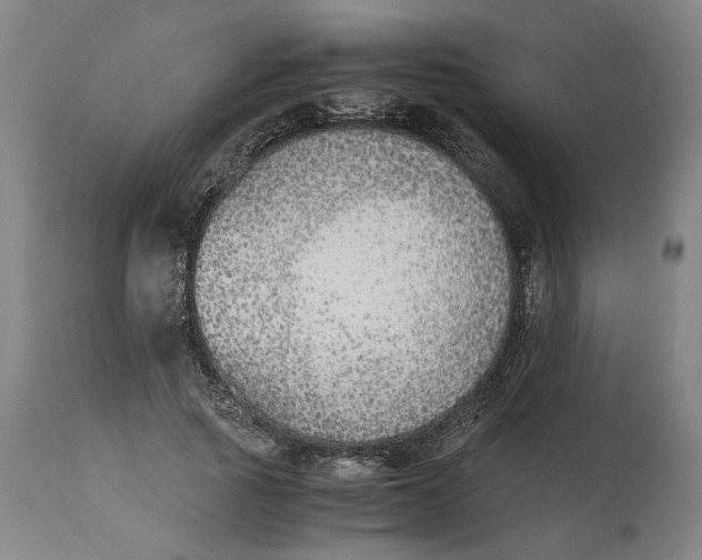 X0000114660737200911101342