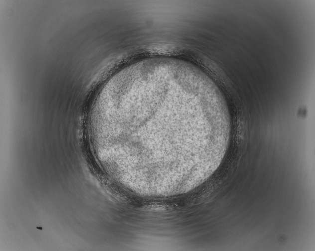 X0000114660738200911101342