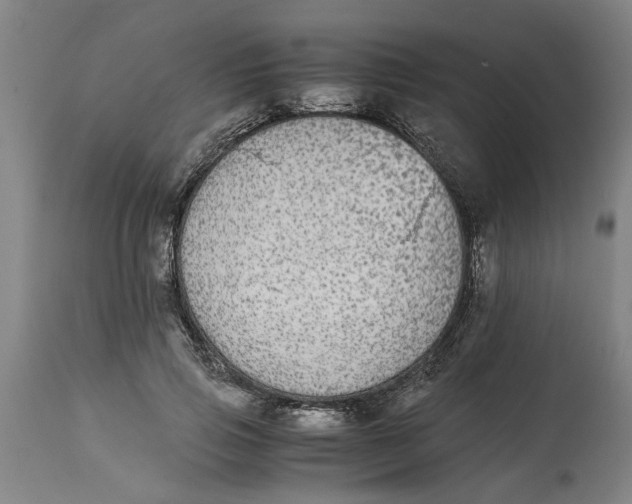 X0000114660741200911101342