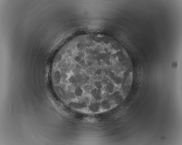 X0000114660742200911101342