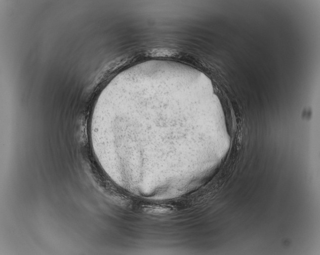 X0000114660743200911101342