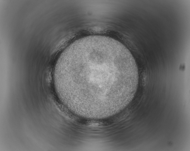 X0000114660746200911101342