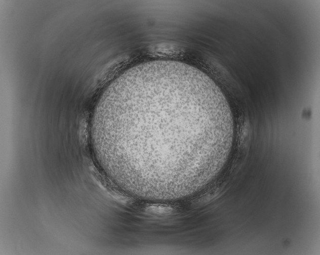 X0000114660749200911101342