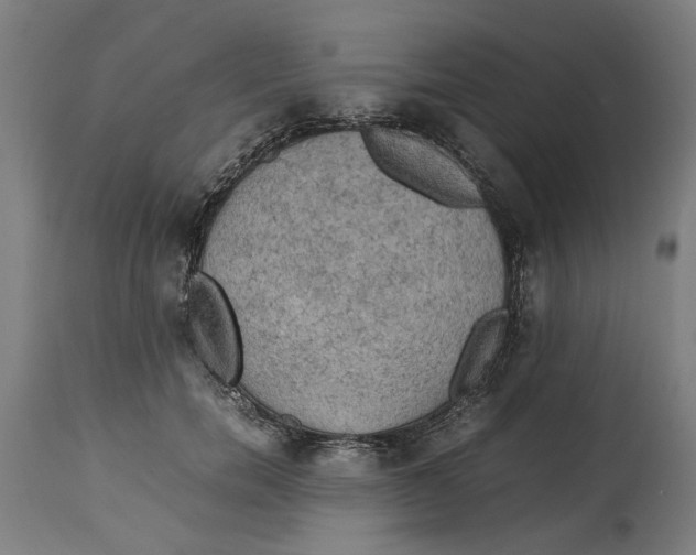 X0000114660750200911101342