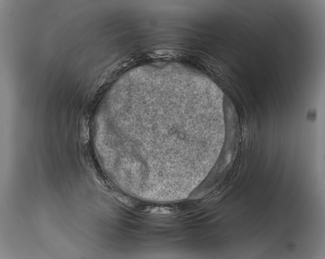 X0000114660751200911101342