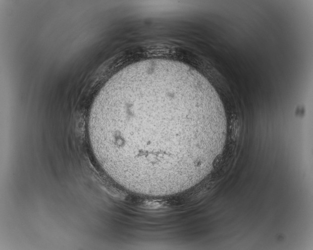 X0000114660753200911101342