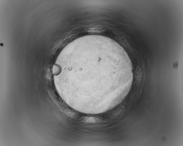 X0000114660755200911101342