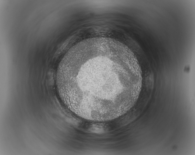 X0000114660757200911101343