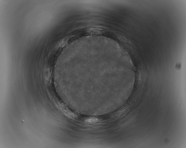 X0000114660759200911101343