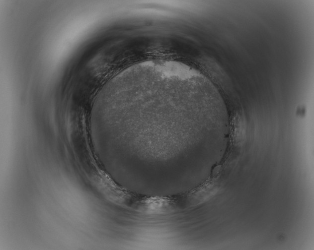 X0000114660762200911101343