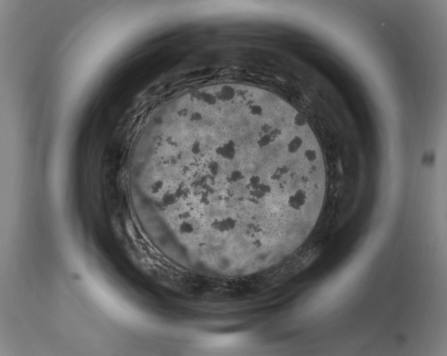 X0000114660765200911101343