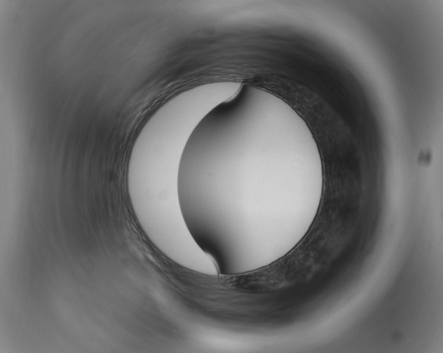 X0000114660766200911101343