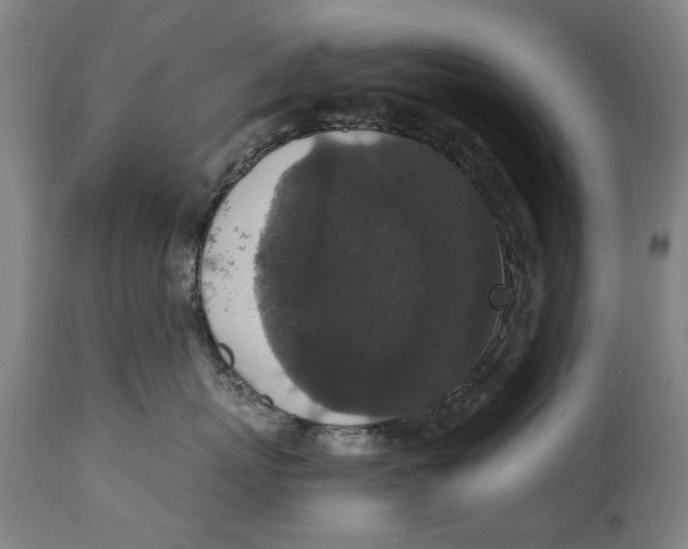 X0000114660767200911101343