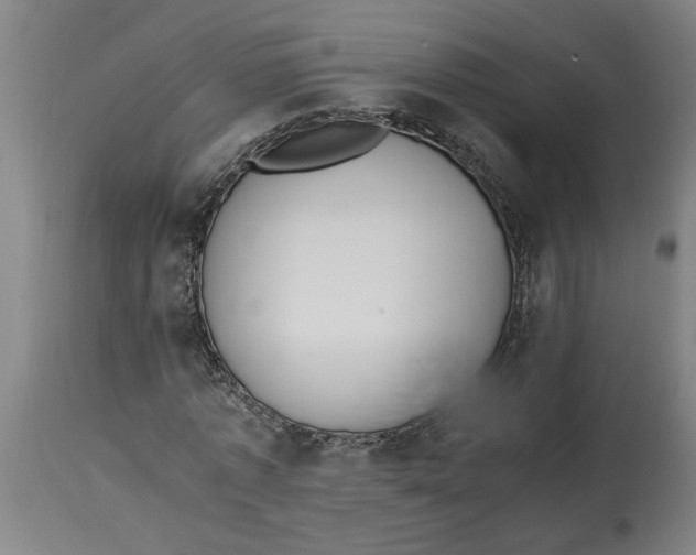 X0000114660773200911101342