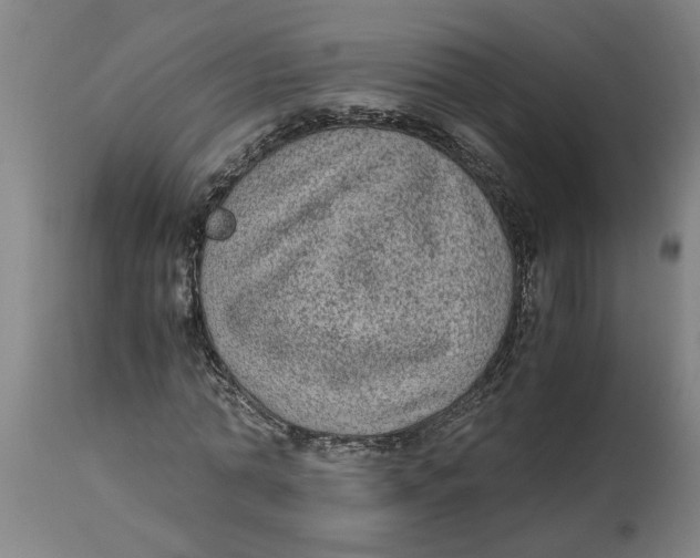 X0000114660774200911101342