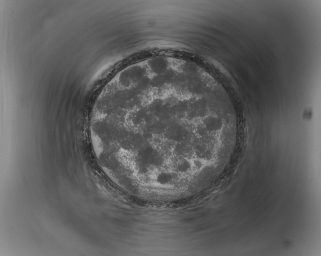 X0000114660775200911101342