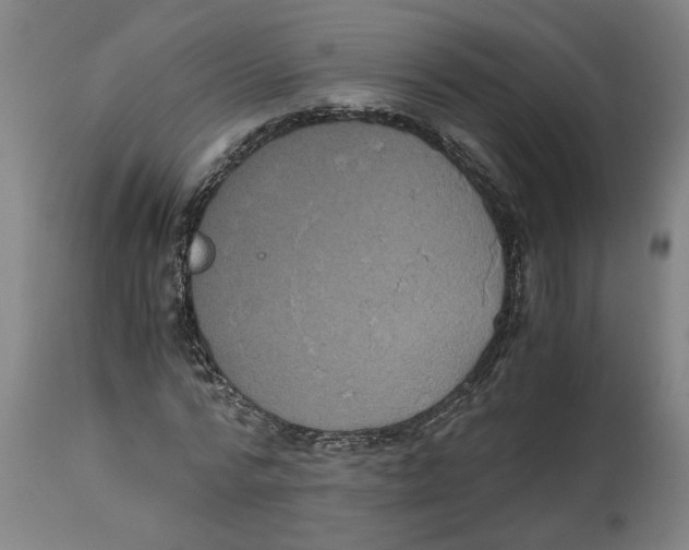 X0000114660776200911101342