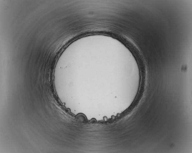 X0000114660777200911101342