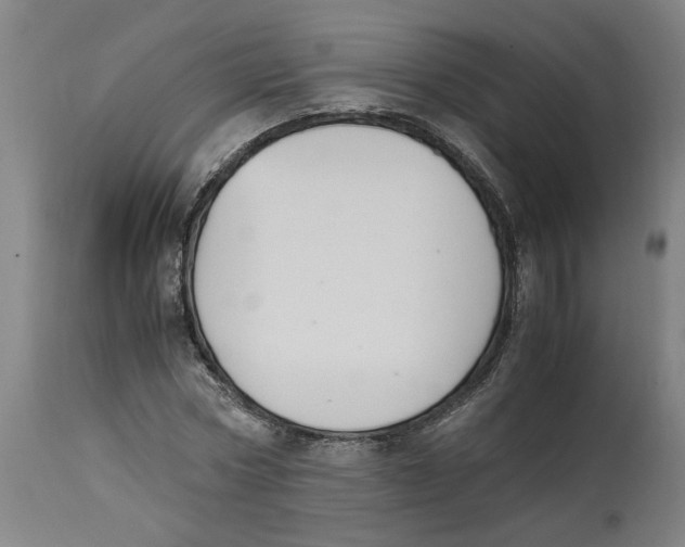 X0000114660778200911101342