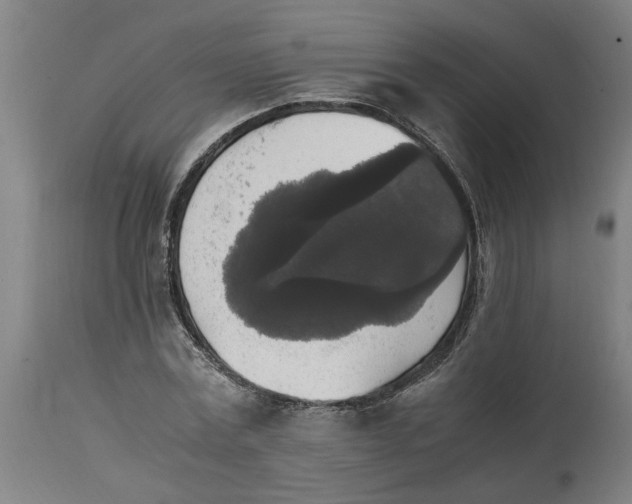 X0000114660779200911101342