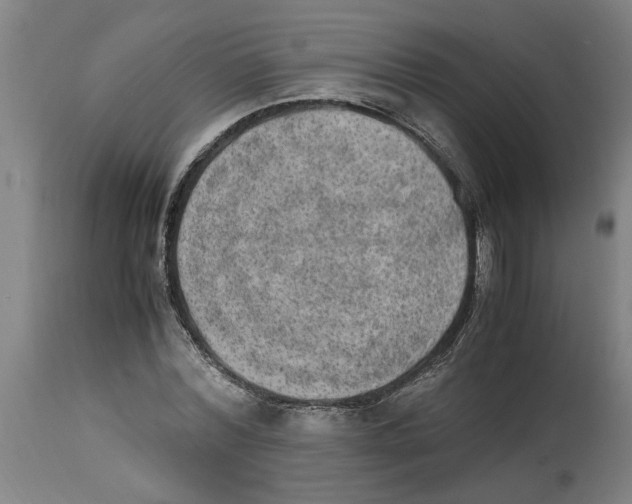 X0000114660780200911101342