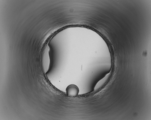 X0000114660781200911101342