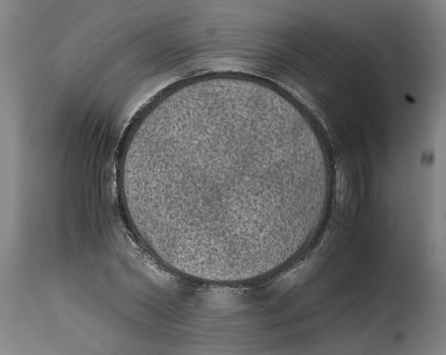 X0000114660782200911101342