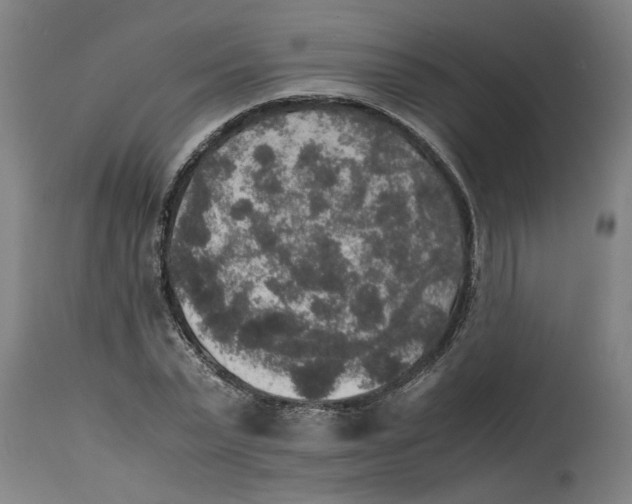 X0000114660783200911101342