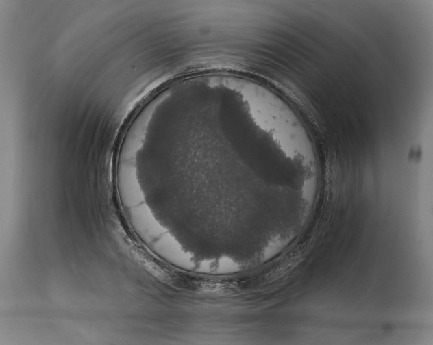 X0000114660790200911101342