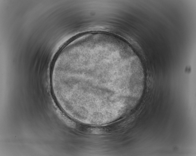 X0000114660792200911101342