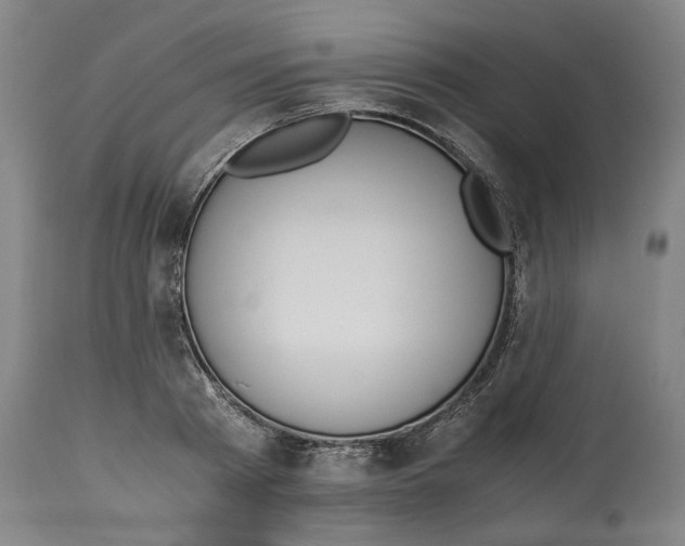 X0000114660793200911101342