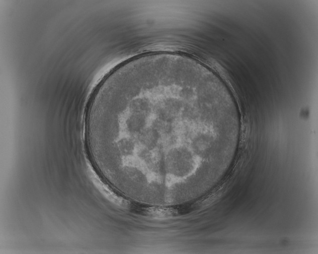 X0000114660795200911101342