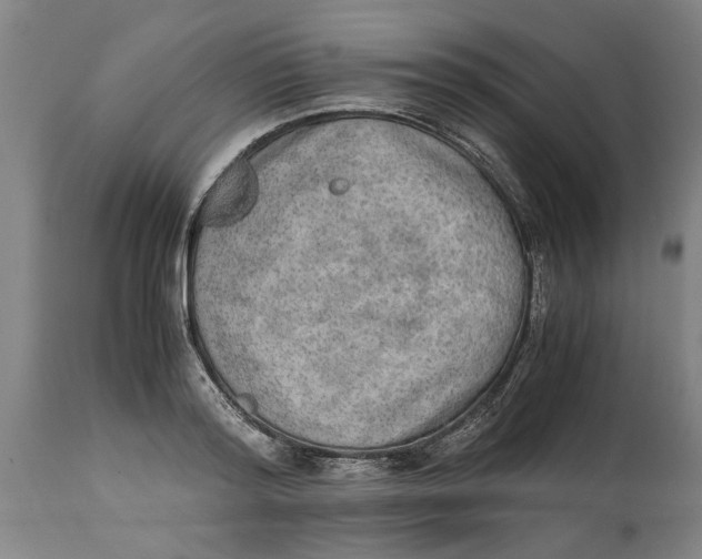 X0000114660796200911101342