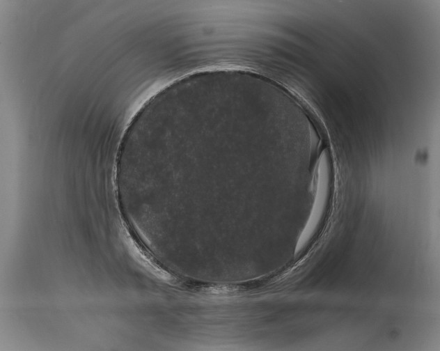 X0000114660797200911101342