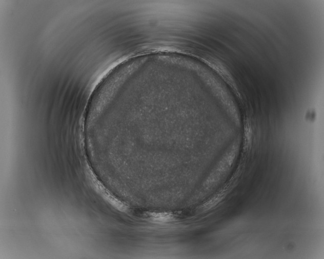 X0000114660798200911101342