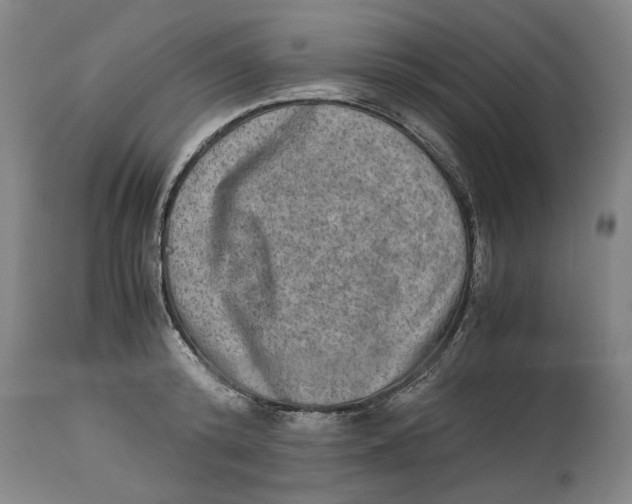 X0000114660800200911101342