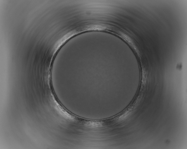 X0000114660802200911101342