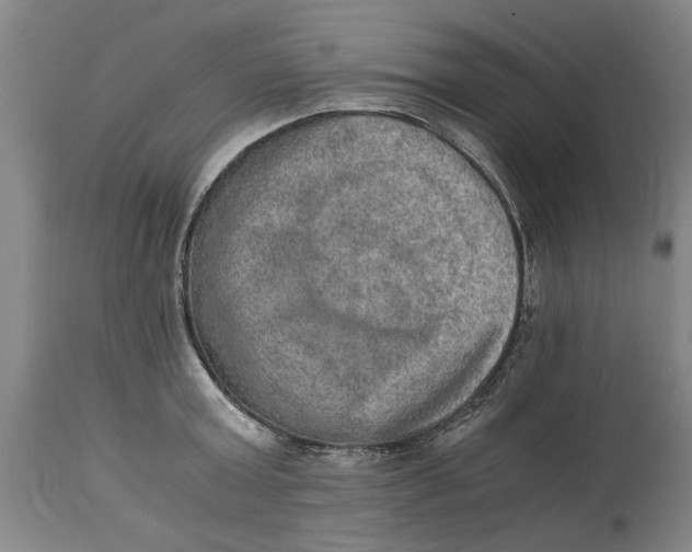 X0000114660803200911101342