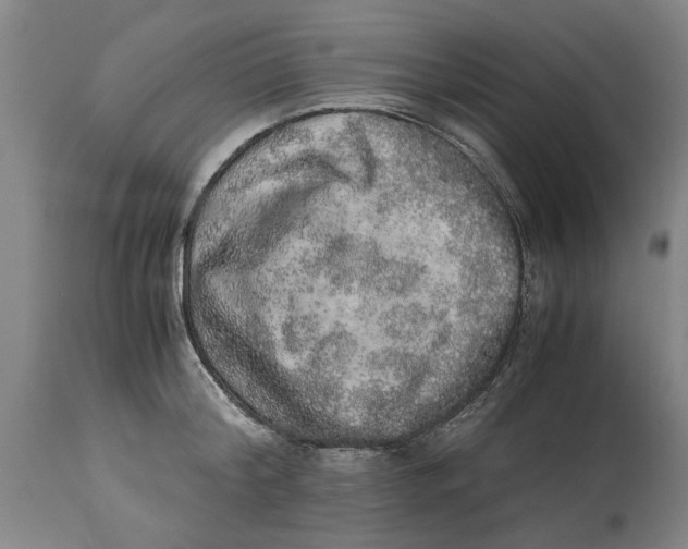 X0000114660804200911101342