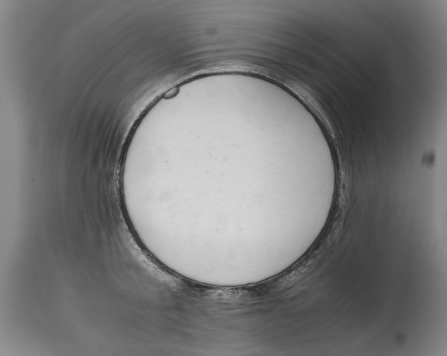 X0000114660805200911101341