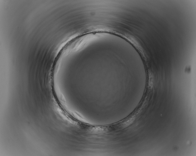 X0000114660806200911101341