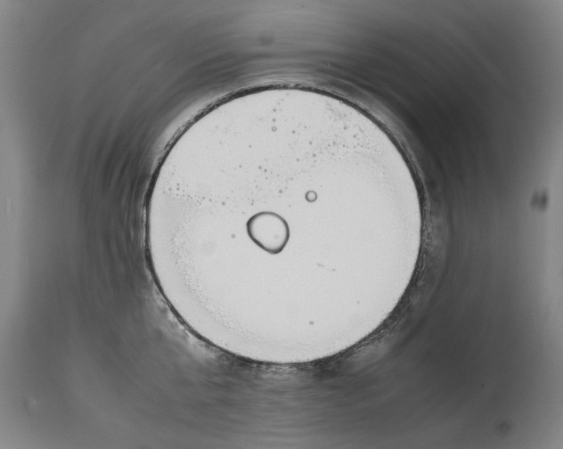 X0000114660807200911101341