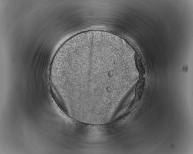 X0000114660808200911101341