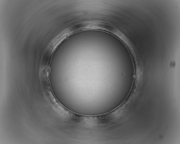 X0000114660809200911101341