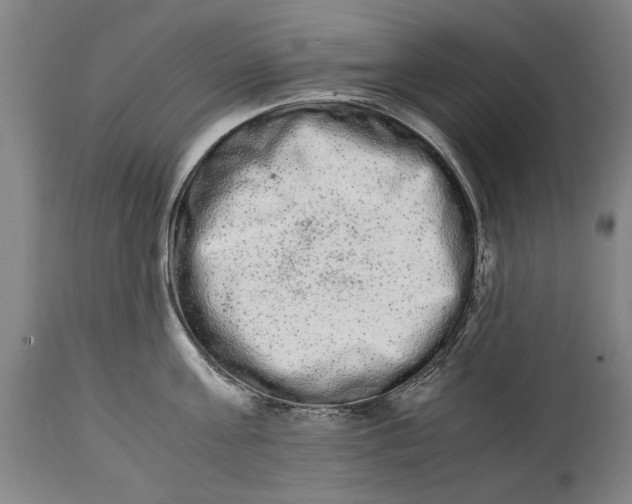 X0000114660811200911101341