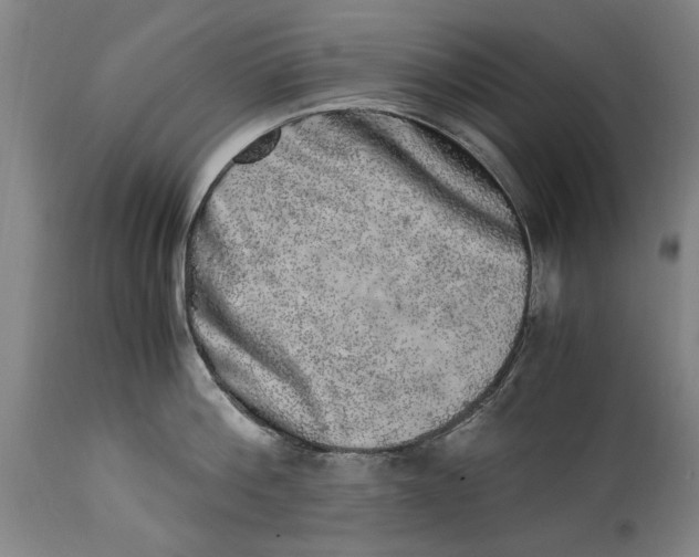 X0000114660812200911101341