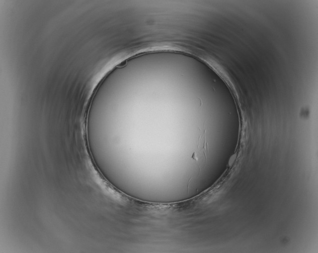 X0000114660813200911101341