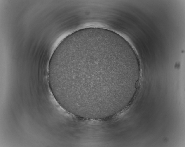 X0000114660815200911101341