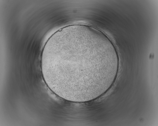 X0000114660816200911101341