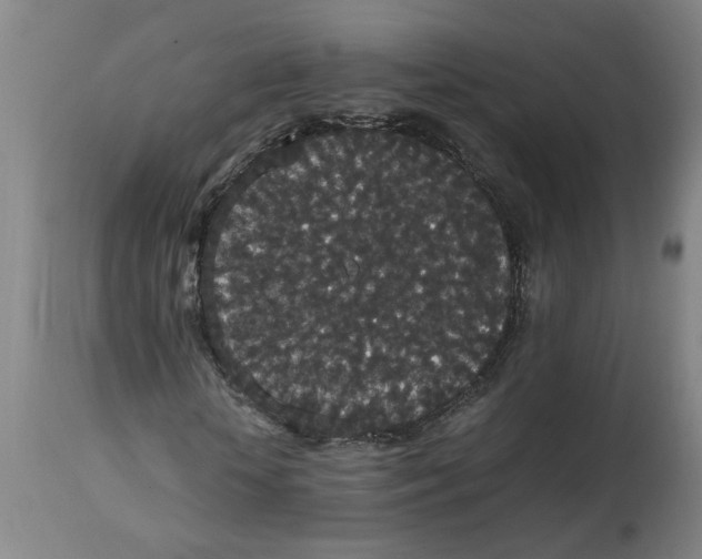 X0000114660818200911101341